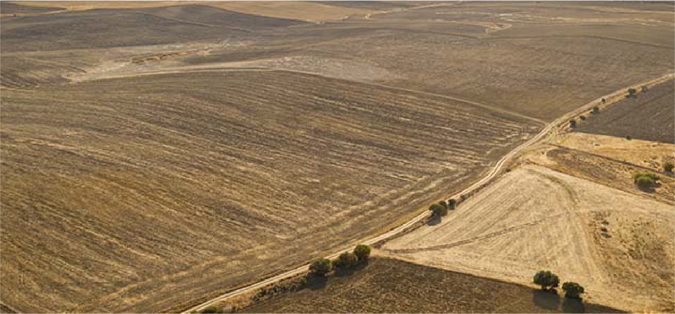 Miftah Al Atlas Lots
